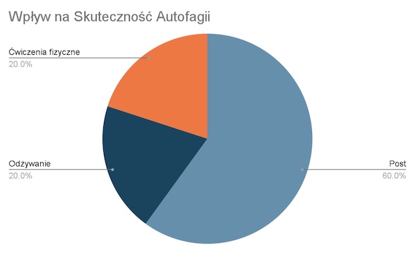 Wpływ na skuteczność autofagii - machnacz.eu